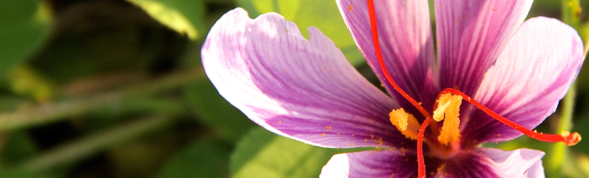 Achtsamkeitsgesichtsbehandlung